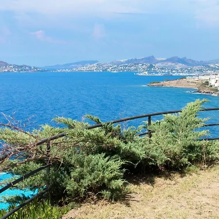 别墅 Aegean Infinity Sea View