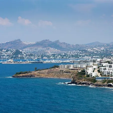 Aegean Infinity Sea View 别墅 博德鲁姆