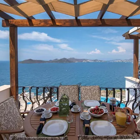 Aegean Infinity Sea View Willa Bodrum